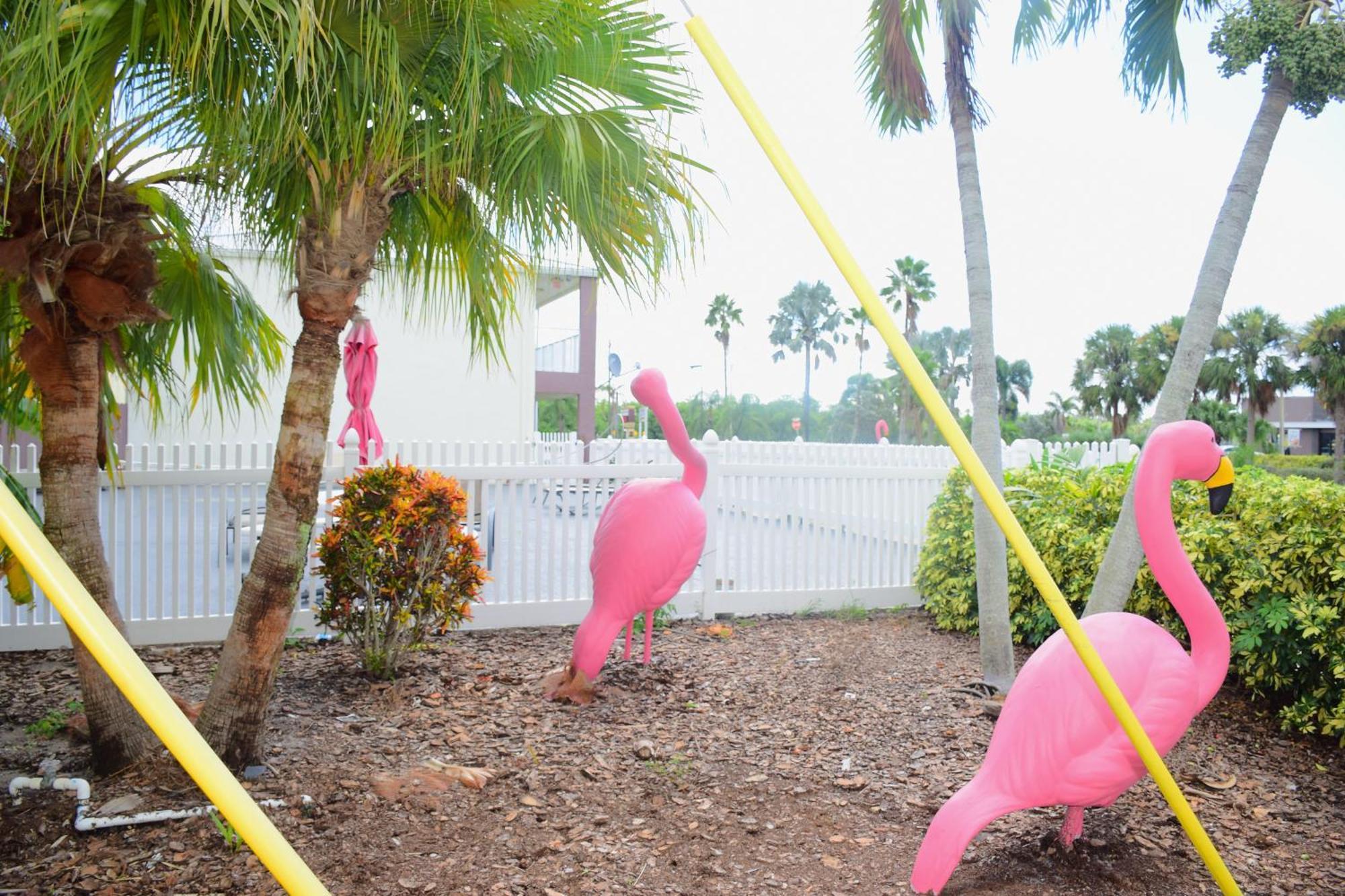 Flamingo Motel Okeechobee Exteriér fotografie